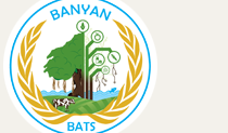 BANYAN AGRI TREND SOLUTIONS PRIVATE LIMITED