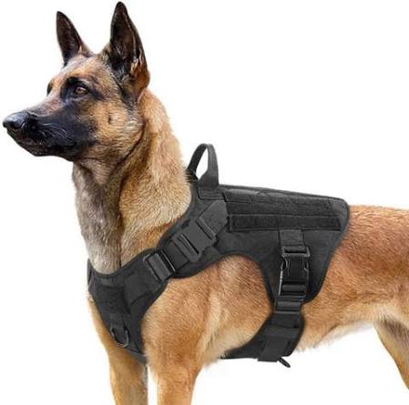 Dog Harness