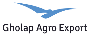 Gholap Agro Export