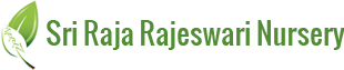 SRI RAJA RAJESWARI NURSERY