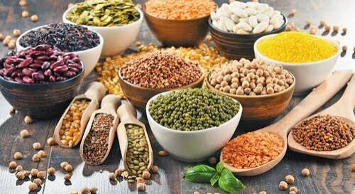 Food Products and Agro Products
