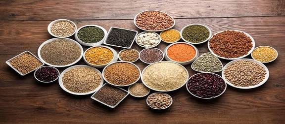 Food Products and Agro Products