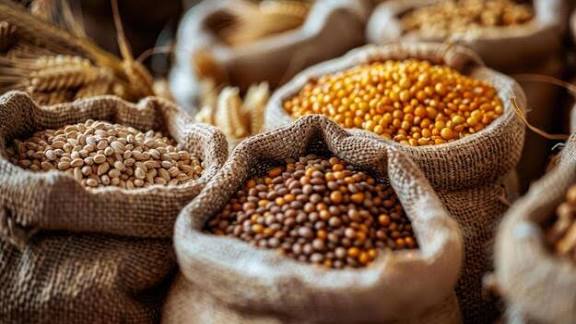 Food Products and Agro Products