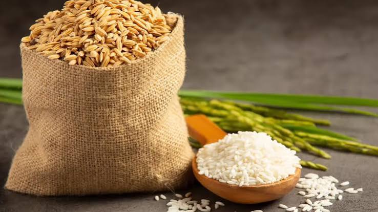 Buyer of 1509 Basmati Rice